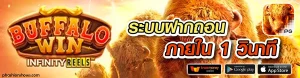 บาคาร่า356 แตกง่าย